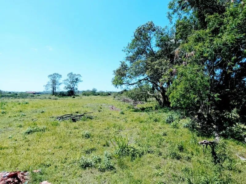Terreno area industrial e comercial margem da BR 101 - Foto 4