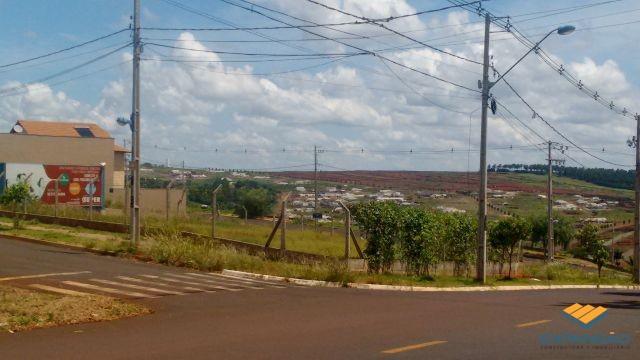 Terreno à venda em Alto das grevileas, Maringá cod:1110006021 - Foto 10