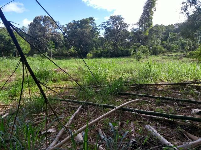 Fazenda - Foto 9