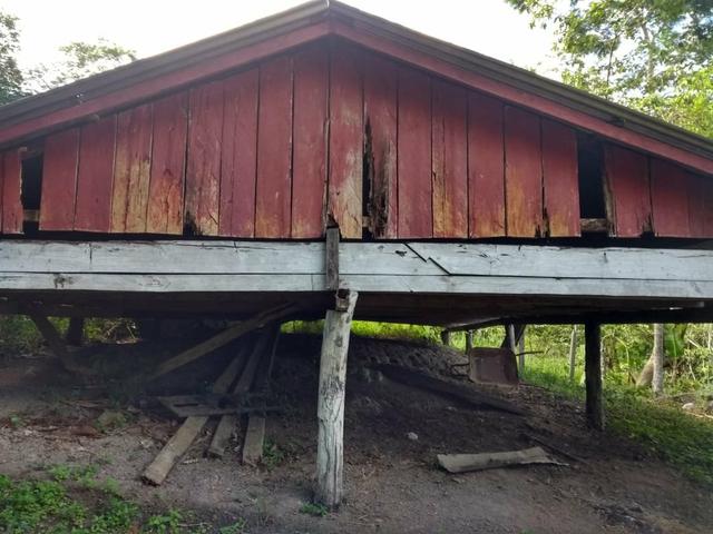 Fazenda - Foto 4