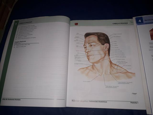 Dois Atlas de Anatomia Humana do Netter - volumes 1 e 2 - Foto 2