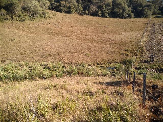 Belíssima área de campo para sitio de lazer com 30000 m² - Foto 6