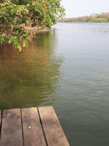 Sitio beira do rio cuiaba em Acorizal-MT - Foto 7