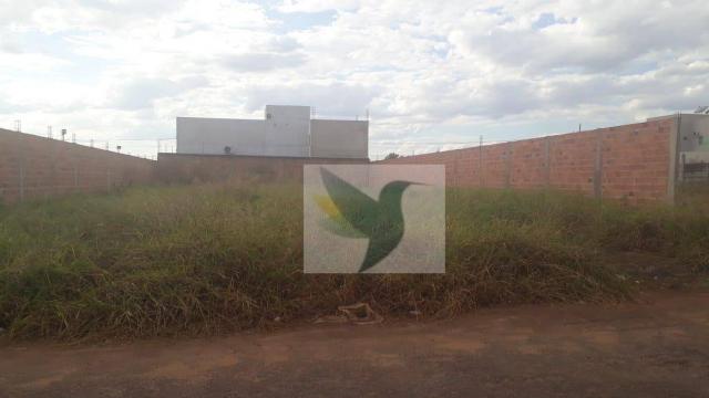 Terreno à venda, 450 m² por r$ 105.000 - setor residencial granville i - Foto 3