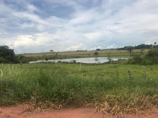 Vende-se Fazenda na Cidade de Dirce Reis-SP