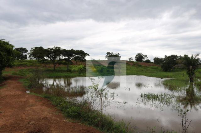 Chácara à venda, 127340 m² por r$ 249.500 - zona rural - rondonópolis/mato grosso - Foto 18