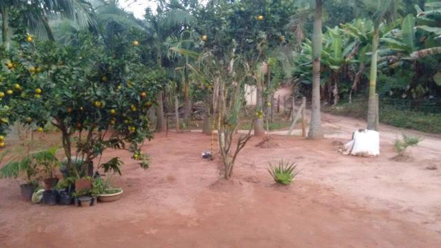 Casa rural em Todos os Santos Marechal Floriano - Foto 7