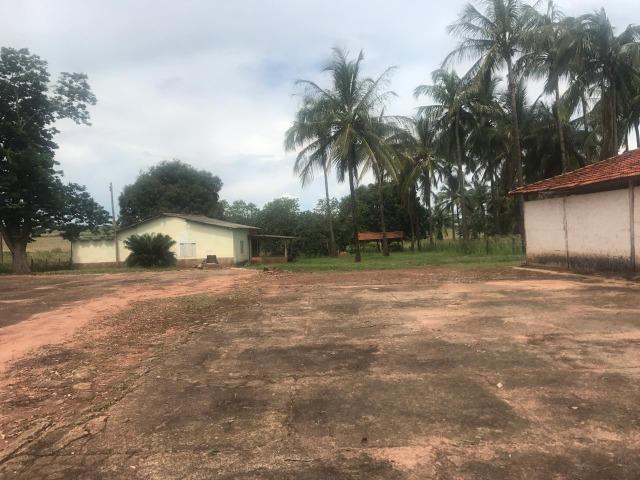 Vende-se Fazenda na Cidade de Dirce Reis-SP - Foto 11