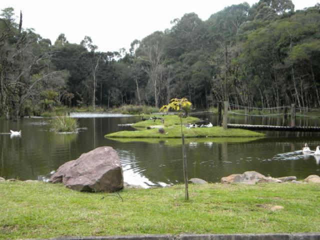 Terreno - Bairro Lagos de Gramado - Foto 7