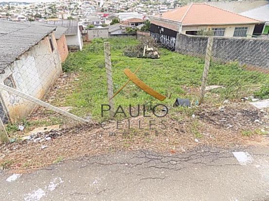 Terreno para alugar em Paloma, Colombo cod:31029001 - Foto 2