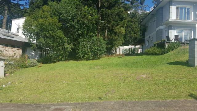 Terreno à venda em São josé, Canela cod:NI05492 - Foto 3