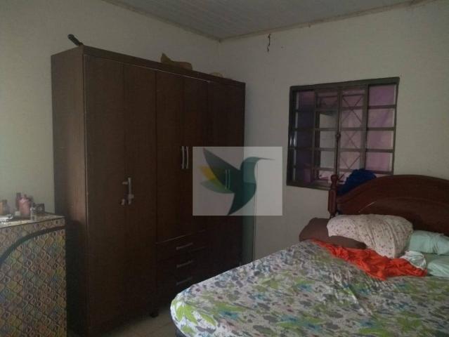 Chácara com 2 dormitórios à venda, 13200 m² por r$ 250.000 - jardim rivera - Foto 4