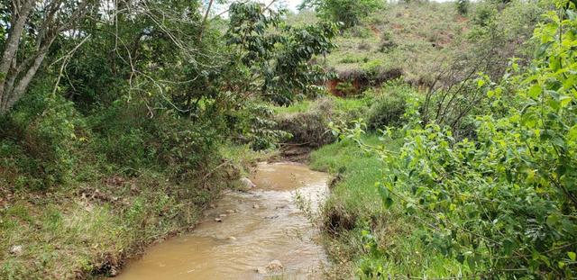Fazenda 295 hectares próximo de Governador ValadaresMG - Foto 10