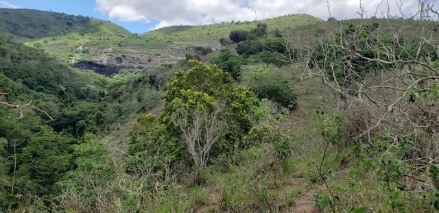 Fazenda 295 hectares próximo de Governador ValadaresMG - Foto 5