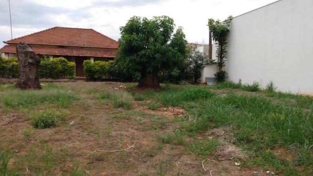 Terreno com 508m² na Av. da Saudade, em Cosmópolis-SP. (TE0084) - Foto 2