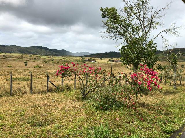Fazenda Floresta Azul - Foto 5