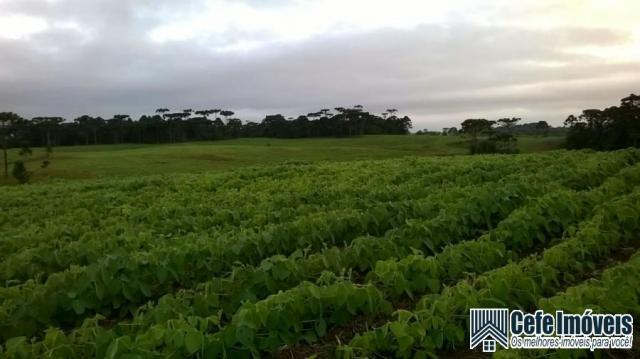 Sítio - Foto 8