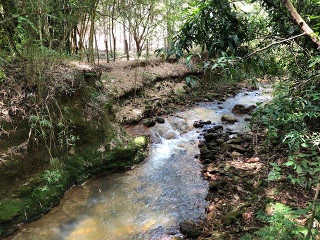 Sérgio Soares Vende: Linda chácara na Ponte Alta 3 hectares - Foto 7