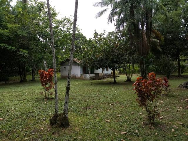 Vende-se Belissima Chácara em Benevides 40.000m - Foto 6