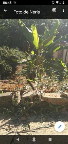 Vende-se um lote em Cariacica sede - Foto 2