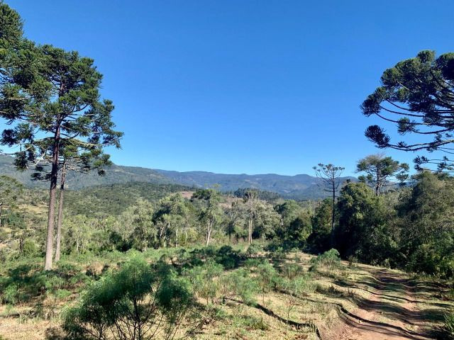 Terrenos, sítios e fazendas - Urubici, SC - Foto 5