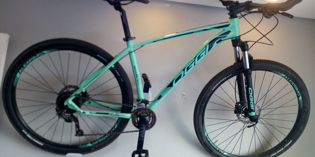 Oggi 7.0 modelo 2020