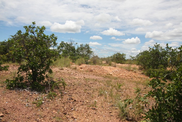 Terreno de 32 hectares em Curvelo - Foto 14