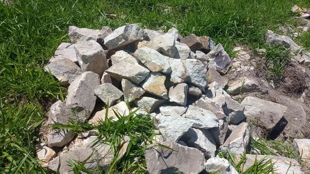 470,00 a toneladas  - Foto 2