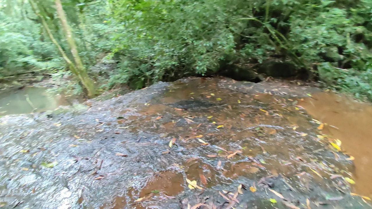 Sítio,com arroio, piscina natural,muita natureza  - Foto 4