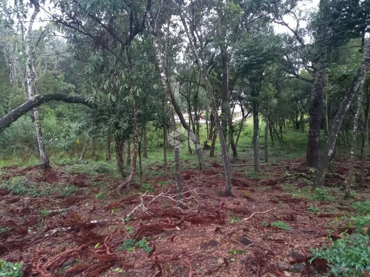 Terreno de 811m² para venda por R$ 300.000