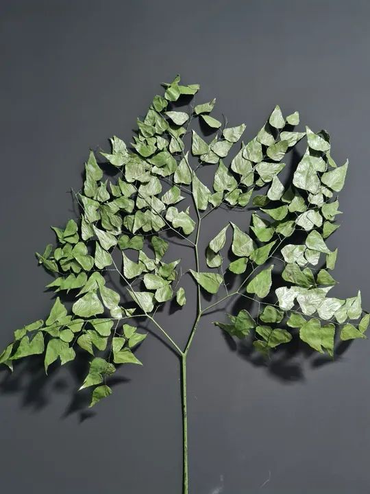 Jardim vertical preservado - M² planta preservada  - Foto 3