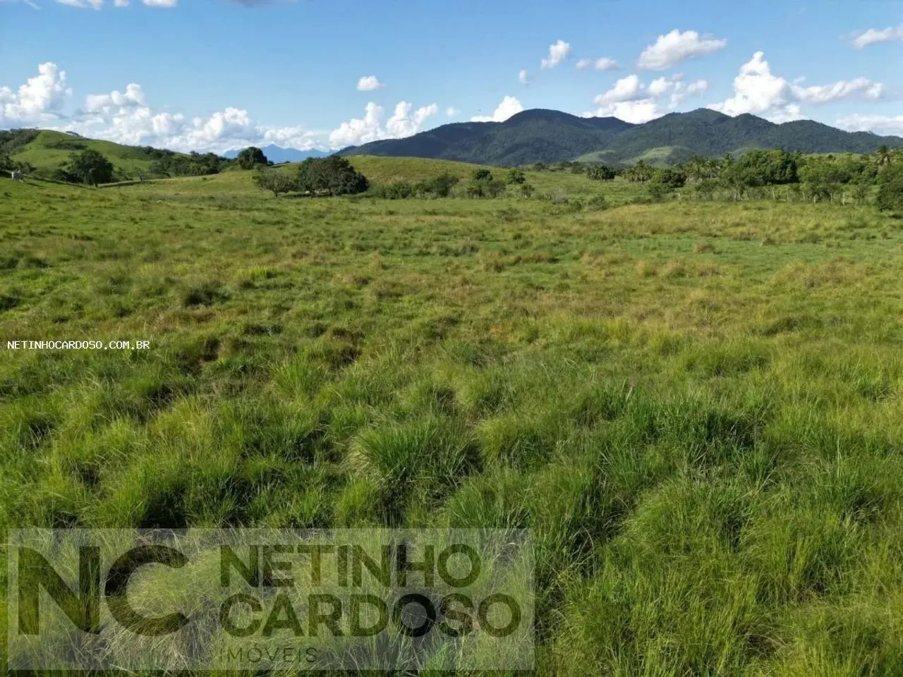 Sítio para Venda em Tanguá - Foto 6