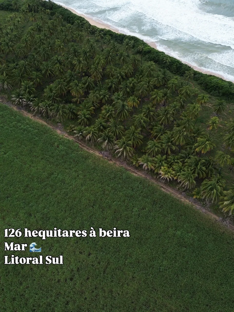 Grande Area à beira-mar no francês a venda tem 1260000m2 em Praia do Frânces - Marechal De