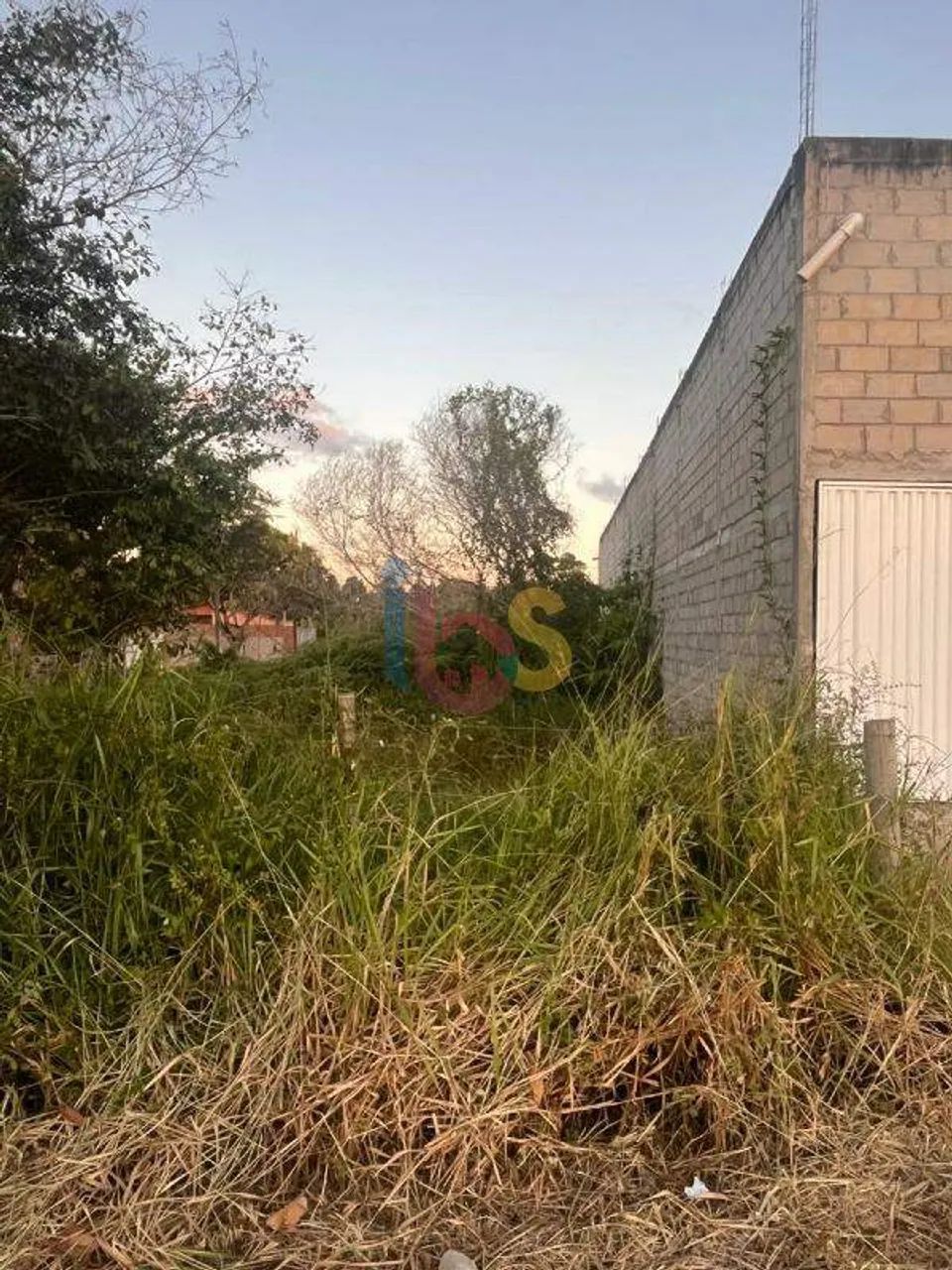 Excelente Lote Jóia do Atlântico