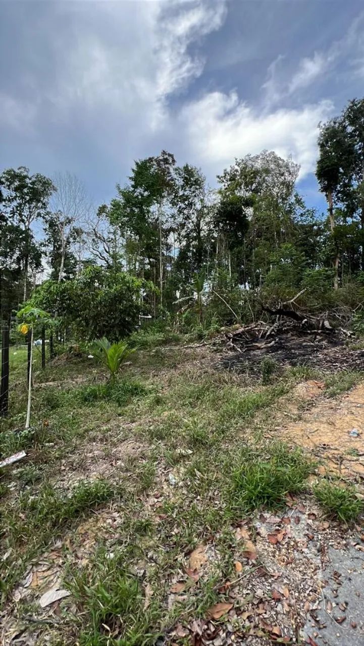 Foto - Manaus - Tancredo Neves