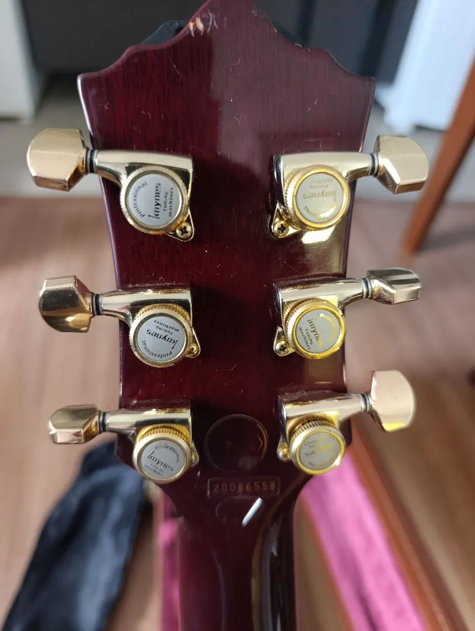 SX Les Paul Guitar with Upgrade64167780350978124