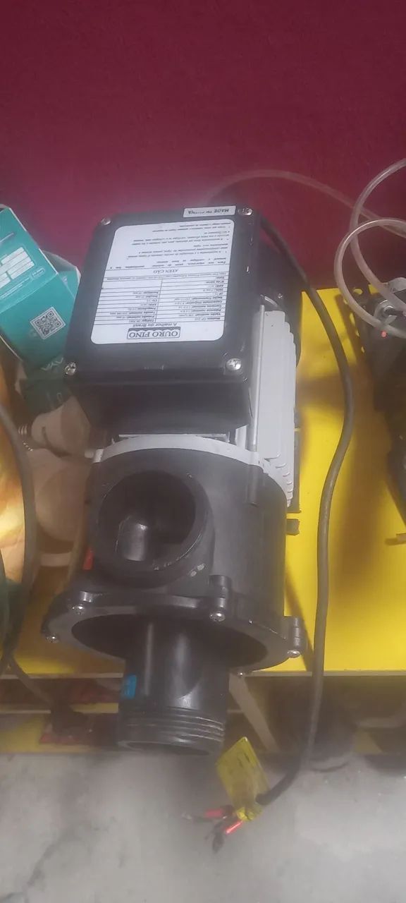 Motobomba para água Ouro Fino OF-310 - 190 L/min - Foto 3