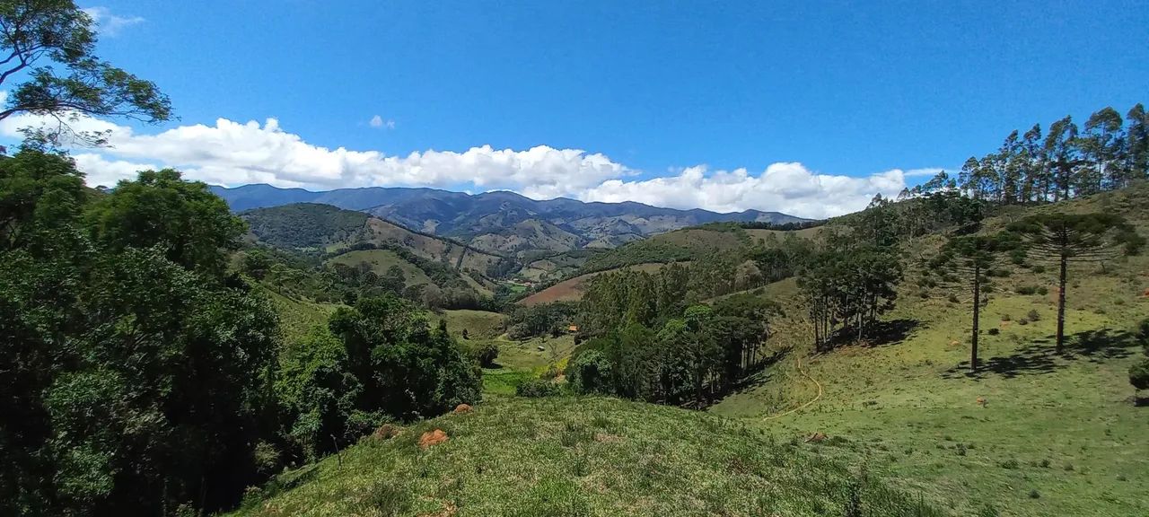 Incrível Fazenda em Alagoa-MG !! - Foto 2