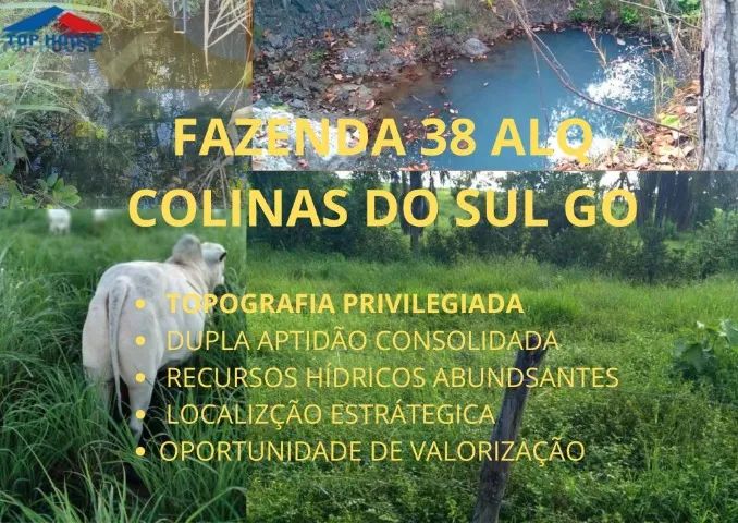 FAZENDA 38 ALQ, COLINAS DO SUL