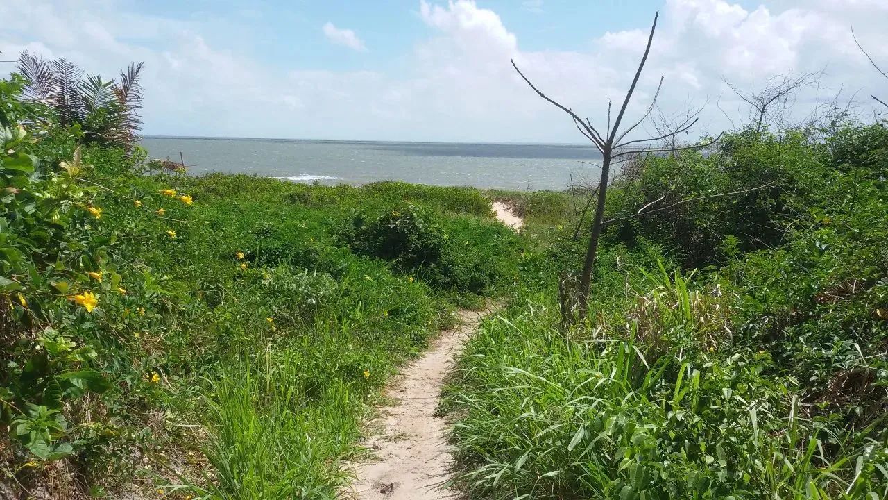 PRAIA DE ITAPARY: Área de 35 hectares a venda vista mar na Ilha de São Luis-MA - Foto 3