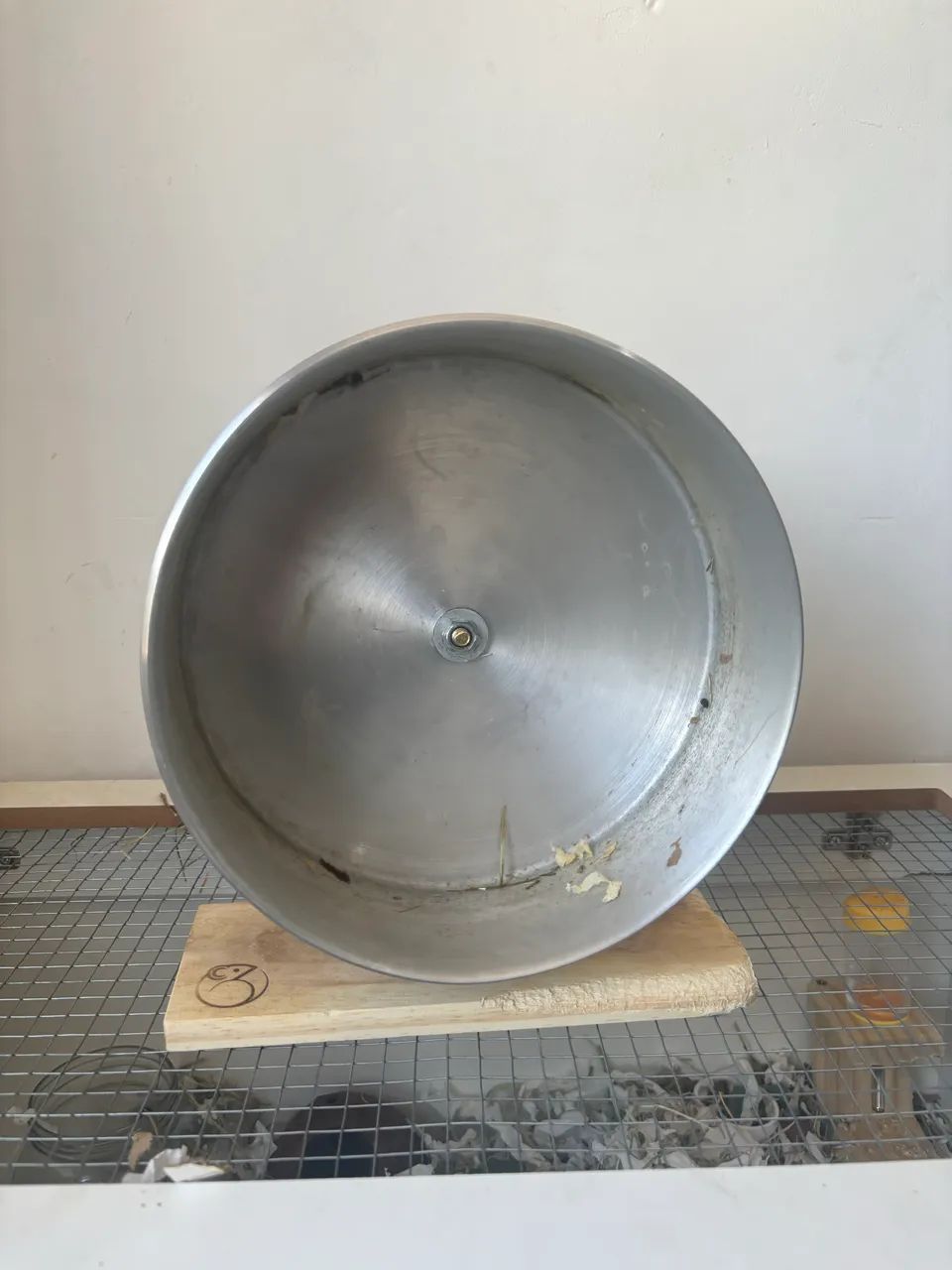 Terrário Hamster e Roedores 4 meses de uso com tudo incluso - Foto 5