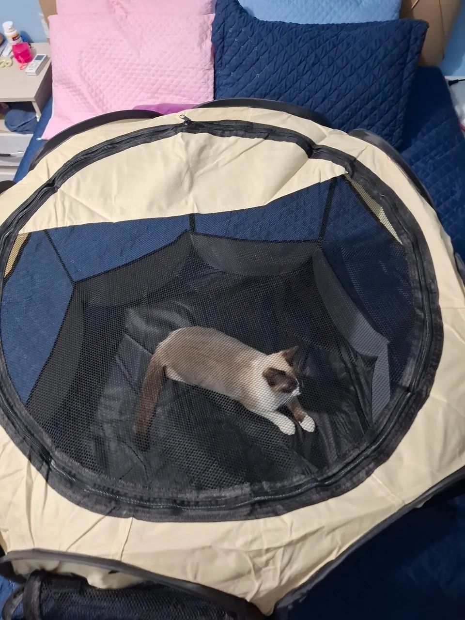 Cercadinho para pets