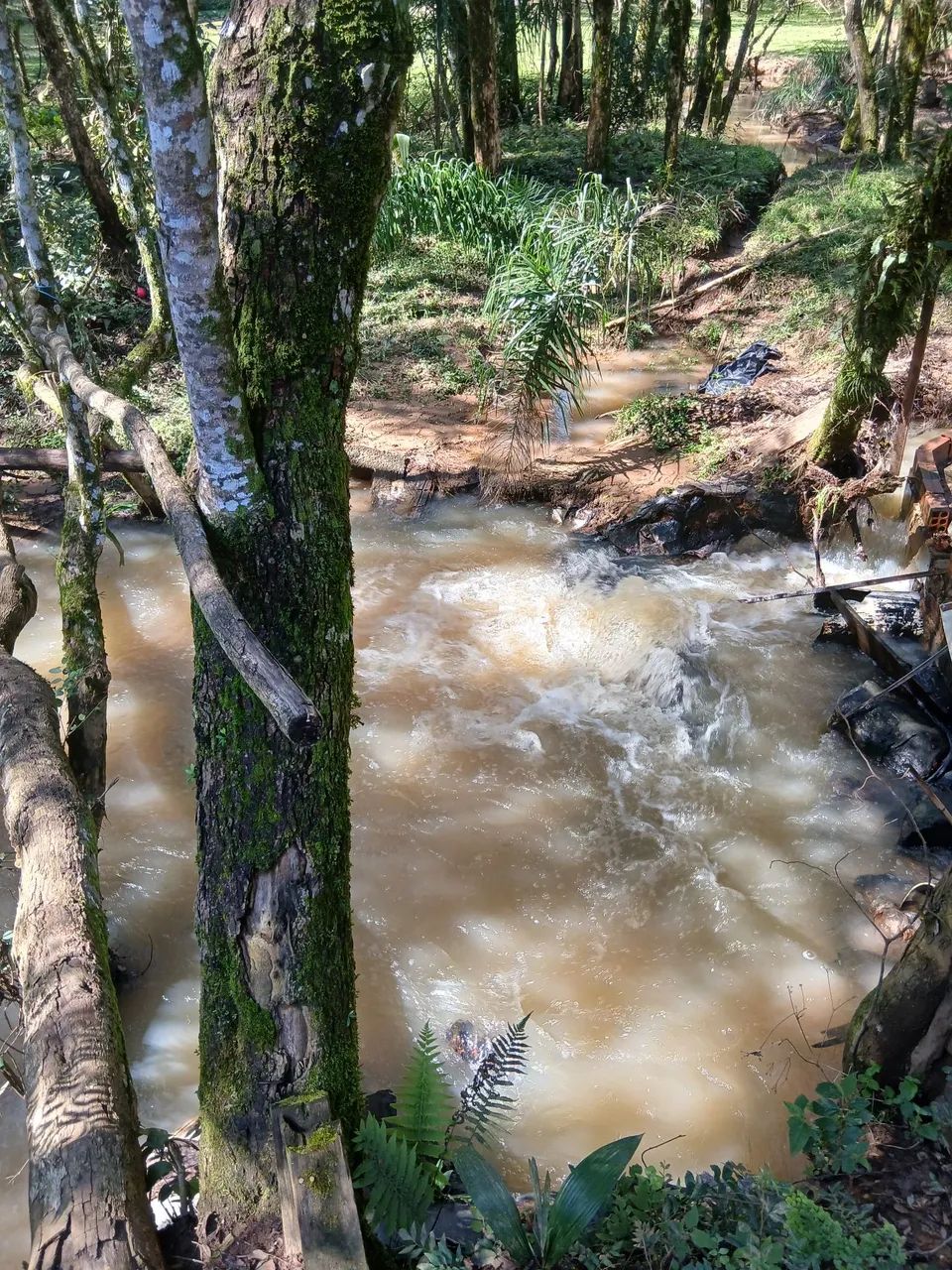 Vendo chácara em Quitandinha  - Foto 3