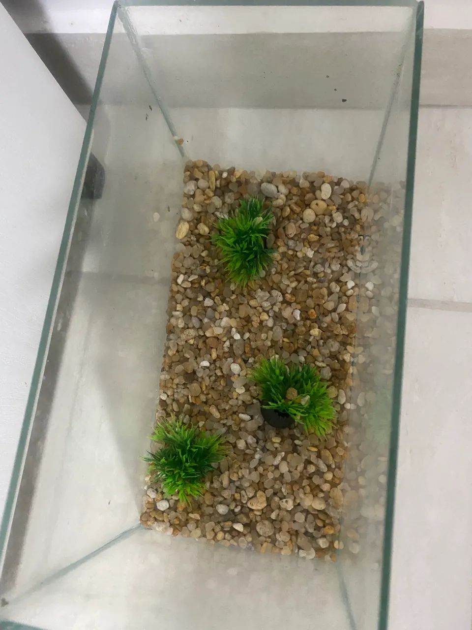 AQUARIO