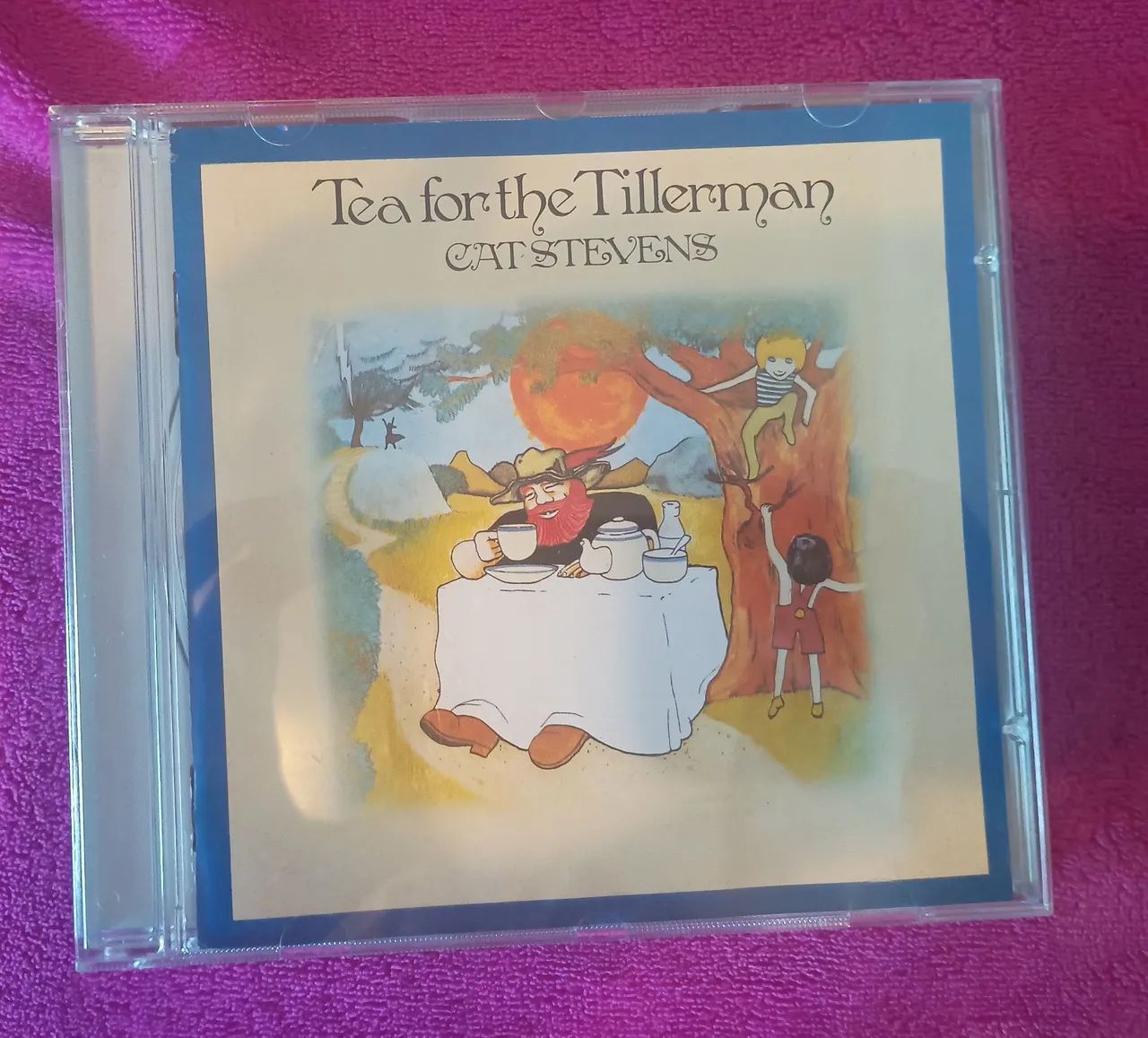 Tea for The Tillerman cat Stevens 