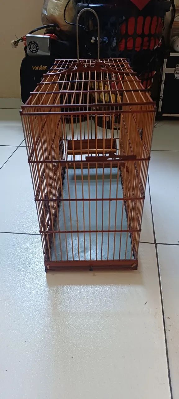 Gaiola voadora  - Foto 4