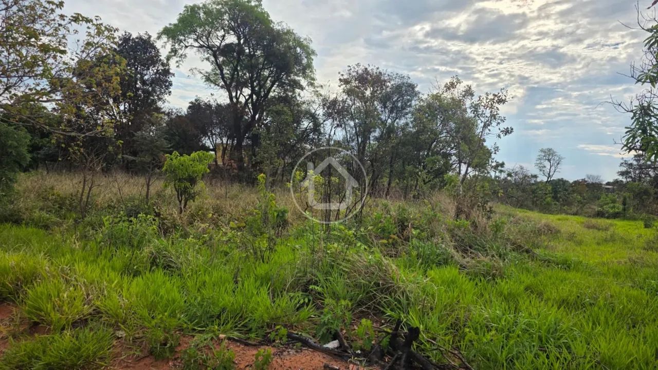 TERRENO - SEM ASFALTO - VIVENDAS DO PARQUE - Foto 4