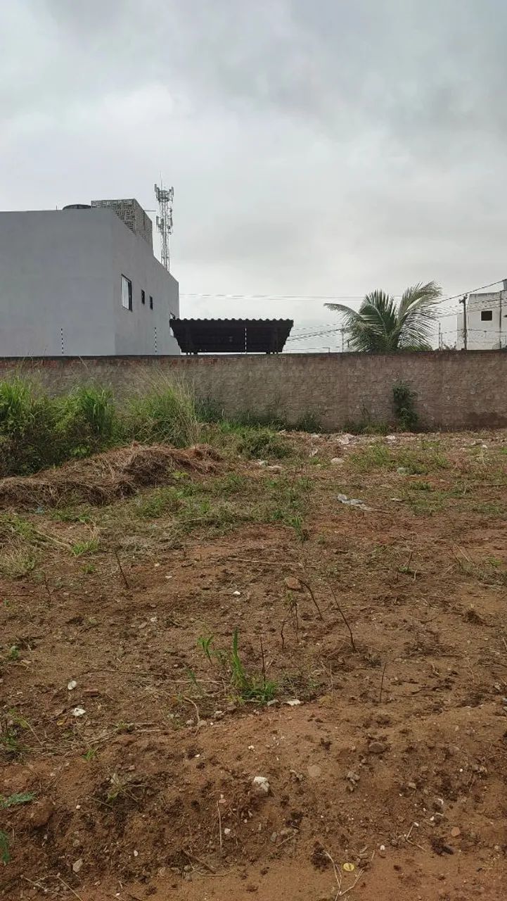 Terreno 