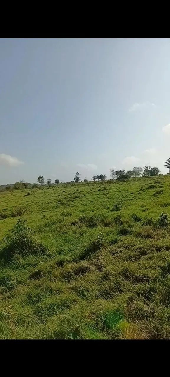 Fazenda na BR 010 - Foto 2