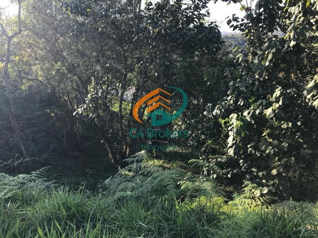 Terreno em Centro - Santa Isabel, SP - Foto 5